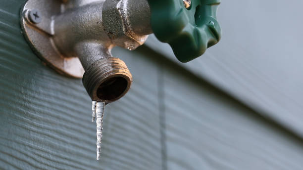 Best Emergency Plumbing Repair  in Carthage, NC