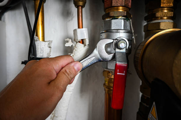 Best Toilet Repair Services  in Carthage, NC